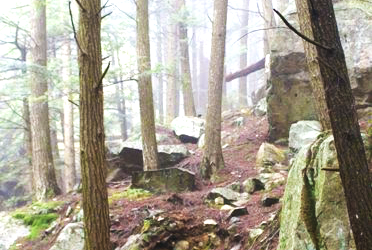 Simply Silence: Following an Age-Old Tradition for Contemporary Pilgrims