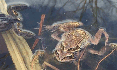 Drinking From The Well