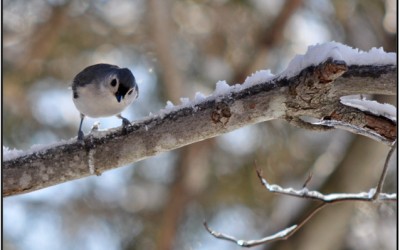 Another World in View