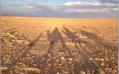 To Listen to the Heartbeat of the World