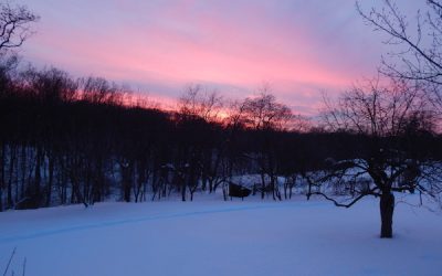 How Silence Will Save the World