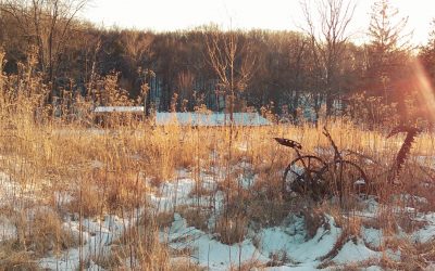 Social Issues in Rural and Urban Contexts