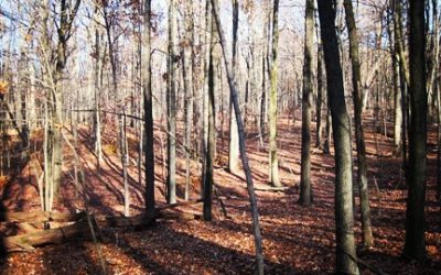 At the Gate of the Year