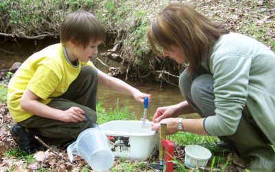 Children of the Earth