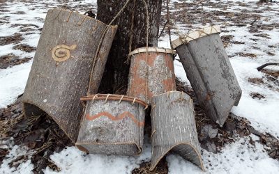 Tulip Poplar Bark Basket Workshop