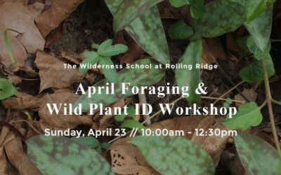 April Foraging & Wild Plant ID Workshop