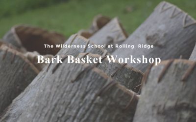 Tulip Poplar Bark Basket Workshop