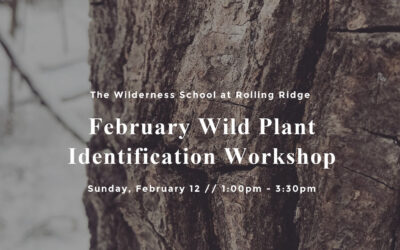 February Wild Plant Identification Workshop