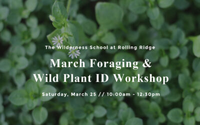 March Foraging & Wild Plant ID Workshop