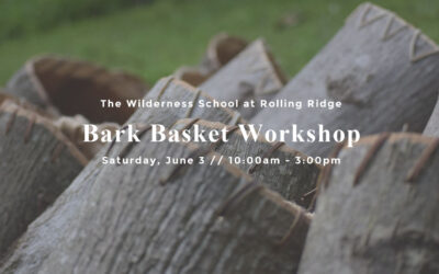 Tulip Poplar Bark Basket Workshop