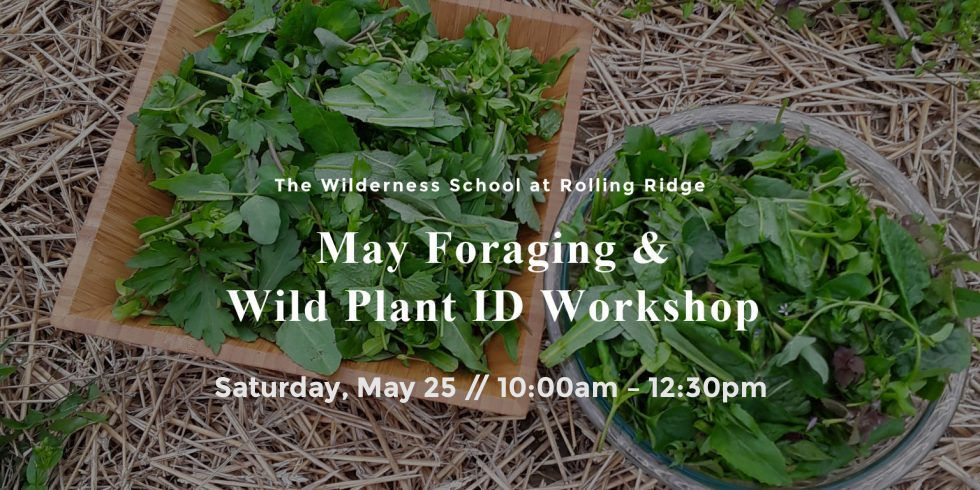 May Foraging & Wild Plant ID Workshop