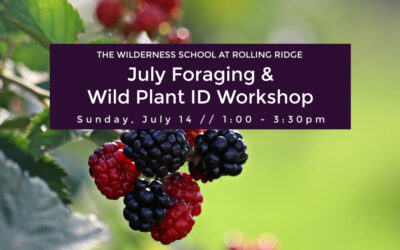 July Foraging & Wild Plant ID Workshop