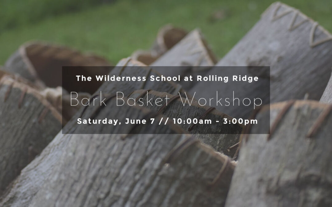 Tulip Poplar Bark Basket Workshop